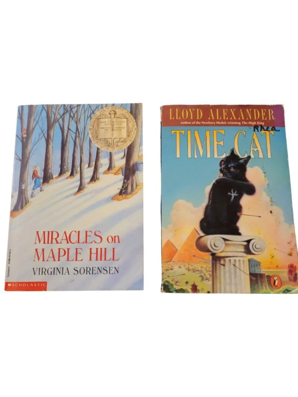 Award Winners Chapter Book Lot Children Kid Learning Read Teacher School Library